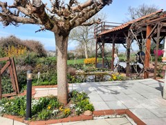 uitzicht vanaf bar.jpg