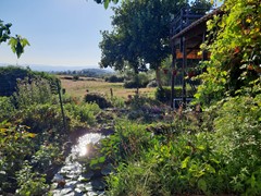 tuin met vijver en beekje.jpg