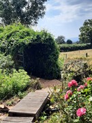 tuin met bruggetje.jpg