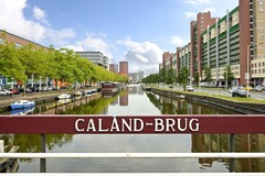 Huur: Verheeskade 509, 2521 DG Den Haag