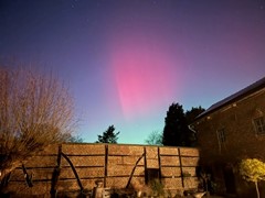 IMG_8218.jpeg