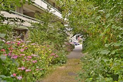 Verkocht onder voorbehoud: Suze Groenewegstraat 99, 1442 NC Purmerend
