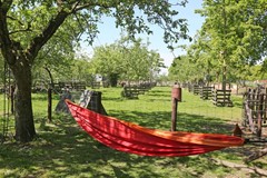 Nieuw in verkoop: Wedzebuorren 51, 9286 ES Twijzel