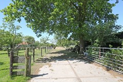 Nieuw in verkoop: Wedzebuorren 51, 9286 ES Twijzel