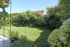 IMGL9901.JPG