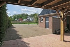 IMG_9665.jpg