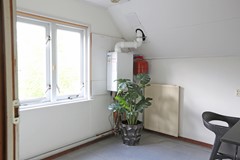 IMGL9784.JPG