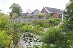 IMGL0191.jpg