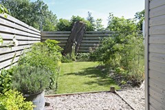 IMGL0250.jpg