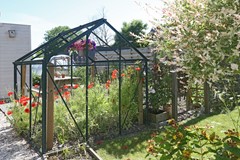 IMGL0241.jpg