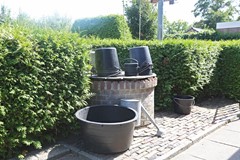 IMGL0480.jpg