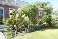 IMGL0628.JPG