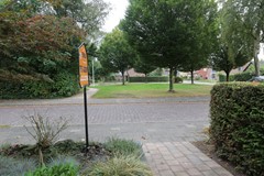 IMGL0701.JPG