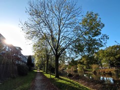 Nieuw in verhuur: Arabellapad 286, 3816 SV Amersfoort