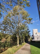 Nieuw in verhuur: Arabellapad 286, 3816 SV Amersfoort