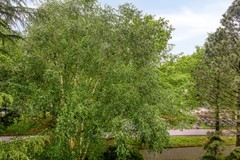 deKoppele2615632LJEindhovenNL-22.jpg