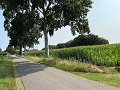 Verkocht: Heikant 38, 6028 RC Gastel