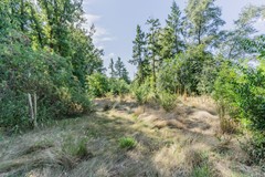 20250807, Boschdijk 18, Budel, Huijers Vastgoed Makelaardij (82 of 92).jpg