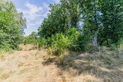20250807, Boschdijk 18, Budel, Huijers Vastgoed Makelaardij (85 of 92).jpg