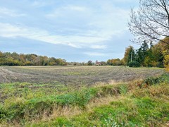 Te koop: Boschdijk, 6021AM Budel