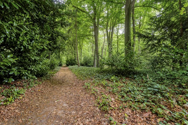 Medium property photo - Villandry 44, 6523 NZ Nijmegen