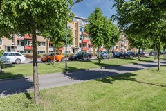 20250506, Oranjeplein 90 A, Maastricht, Marcel Overhof (37 of 43).jpg