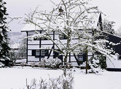 winter 2021_01_24 P1530947.JPG