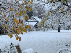 winter 2022_12_05.JPG