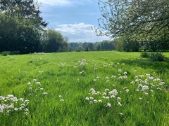 lente 2025_04_20 01.JPG