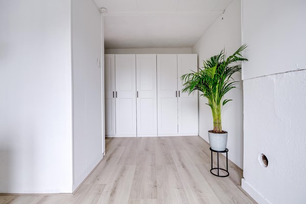 Medium property photo - Havikstraat 14BS, 3514 TP Utrecht