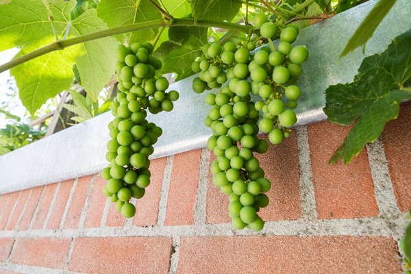 Medium property photo - Griftstraat 3, 3572 GM Utrecht