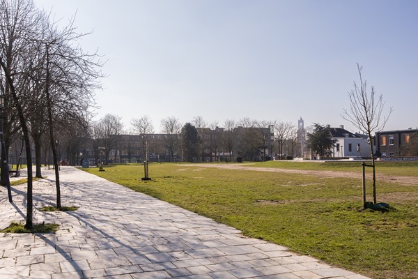 Medium property photo - Griftstraat 3, 3572 GM Utrecht