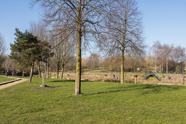 Medium property photo - Griftstraat 3, 3572 GM Utrecht