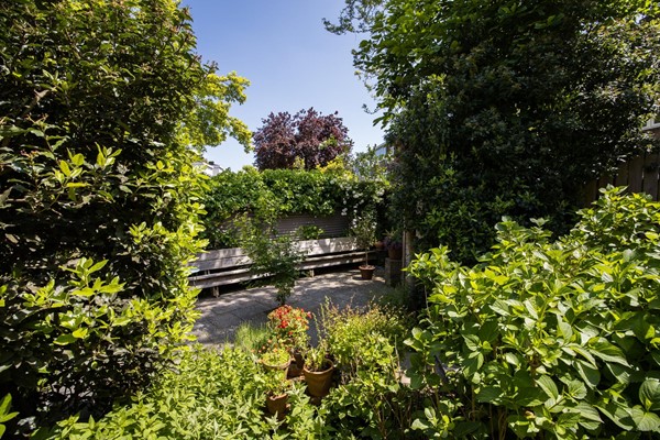 Medium property photo - Willem van Noortplein 16, 3514 GK Utrecht