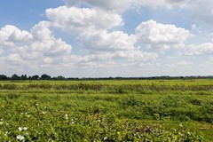 Verkocht: Kruiskruidlaan 50, 3742 EN Baarn