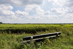 Verkocht: Kruiskruidlaan 50, 3742 EN Baarn
