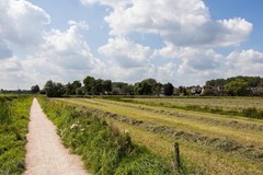 Verkocht: Kruiskruidlaan 50, 3742 EN Baarn