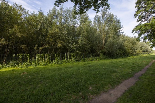 Medium property photo - Galjoenstraat 71, 3534 PD Utrecht