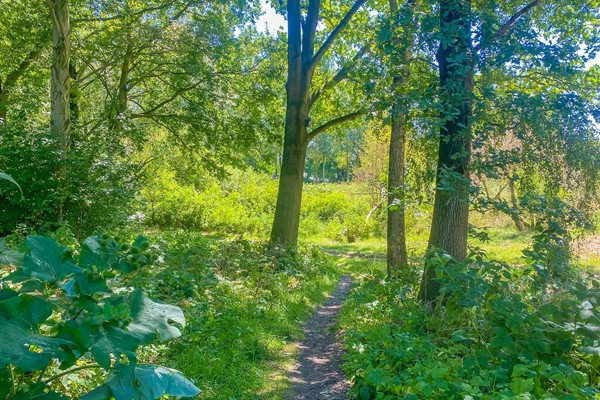 Medium property photo - Chilidreef 9, 3563 HD Utrecht