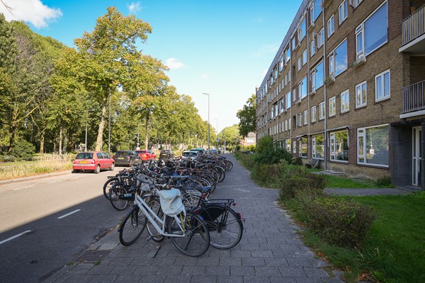 Medium property photo - Briljantlaan 116, 3523 CJ Utrecht