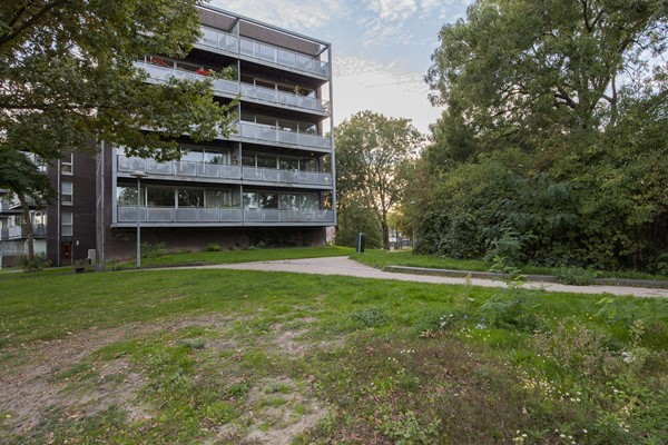 Medium property photo - Adriaan van Bergenstraat 62, 3554 VE Utrecht