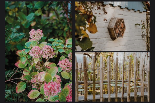 Medium property photo - Potgieterstraat 38, 3532 VS Utrecht