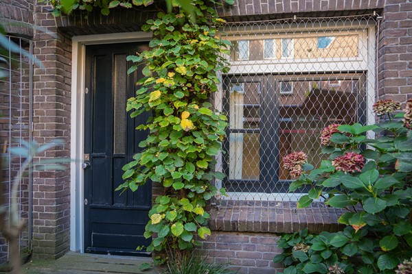 Medium property photo - Potgieterstraat 38, 3532 VS Utrecht