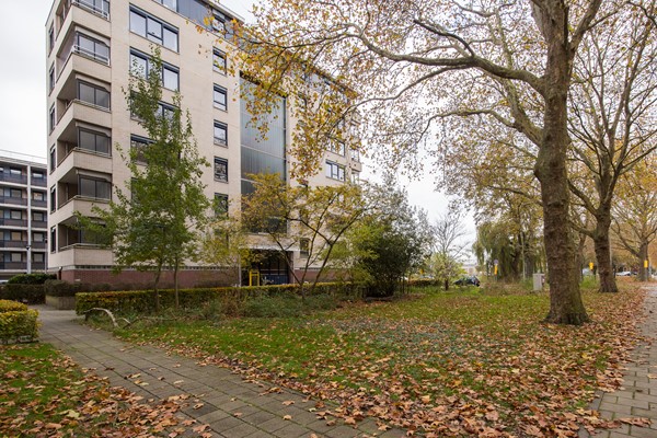 Medium property photo - Linschotensingel 1C A, 3525 XA Utrecht