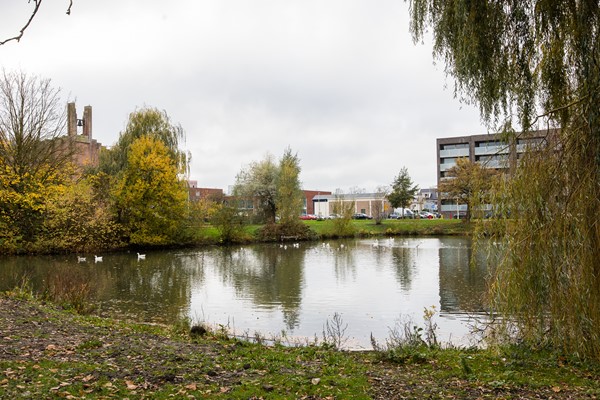 Medium property photo - Linschotensingel 1C A, 3525 XA Utrecht