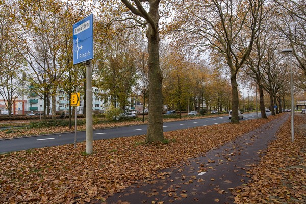 Medium property photo - Linschotensingel 1C A, 3525 XA Utrecht