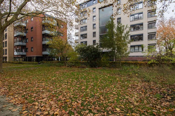 Medium property photo - Linschotensingel 1C A, 3525 XA Utrecht