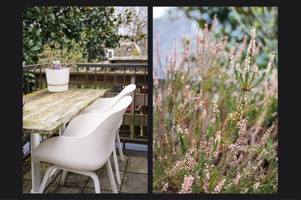 Medium property photo - Hofstraat 14, 3581 TW Utrecht