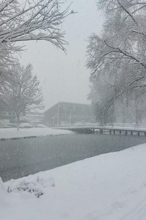 Medium property photo - Houtrakgracht 251, 3544 SC Utrecht