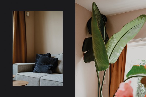 Medium property photo - Catharina van Renneslaan 16, 3533 SC Utrecht